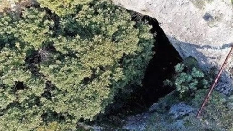 Φωλιά με… πάνθηρες μόλις 45 λεπτά από το κέντρο της Αθήνας (βίντεο)